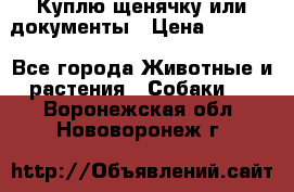 Куплю щенячку или документы › Цена ­ 3 000 - Все города Животные и растения » Собаки   . Воронежская обл.,Нововоронеж г.
